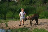 ENFANT ET CHIEN 621